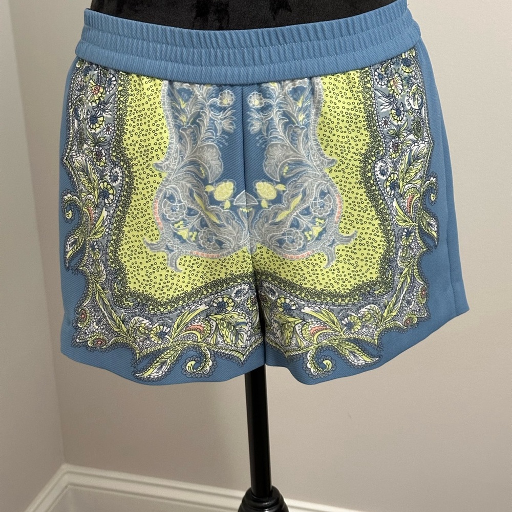 BCBGMaxAzria High Waist Shorts Blue and Green